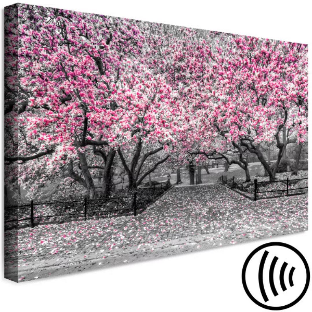 Wandbild Magnolia Park (1 Part) Wide Pink XXL günstig online kaufen