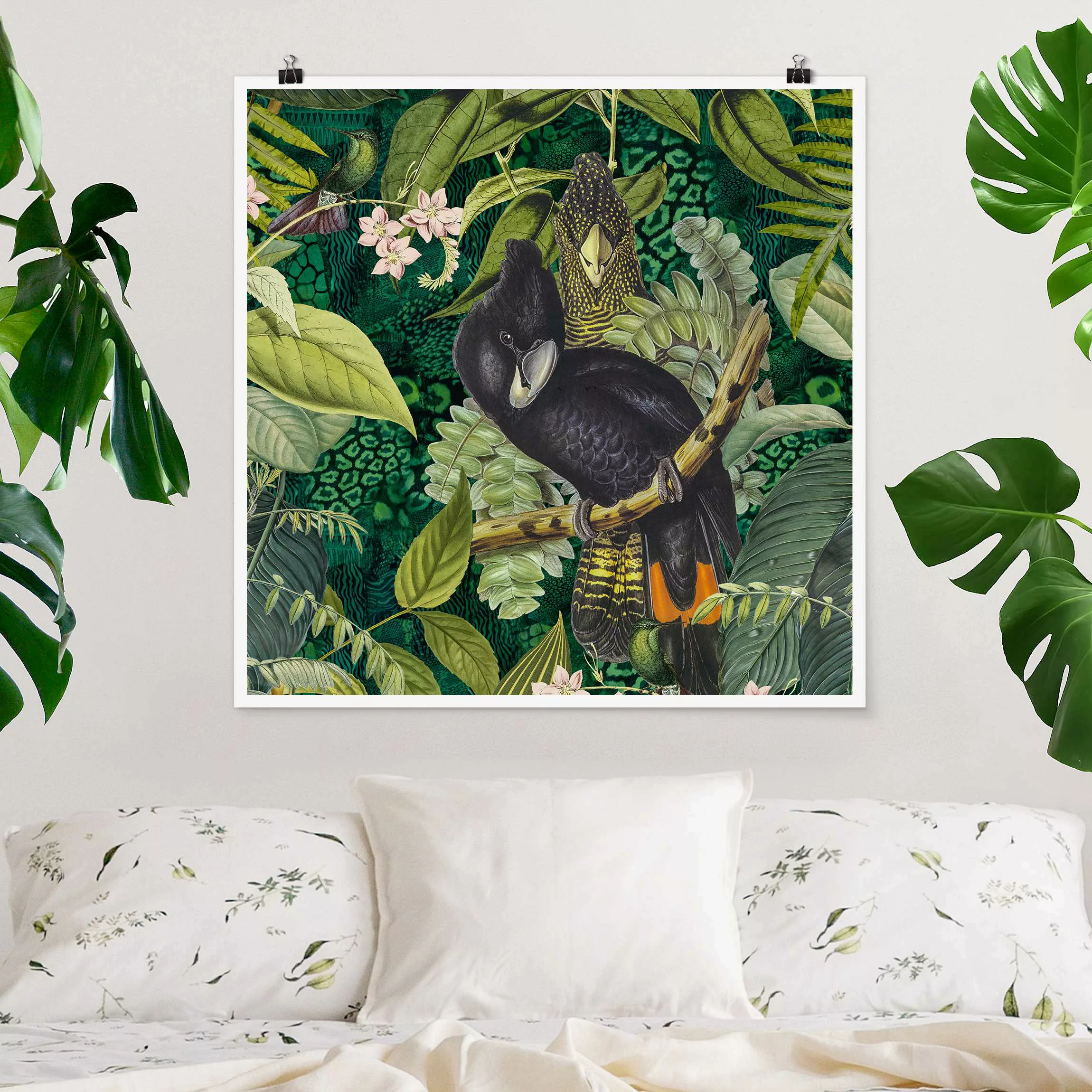 Poster Bunte Collage - Kakadus im Dschungel günstig online kaufen