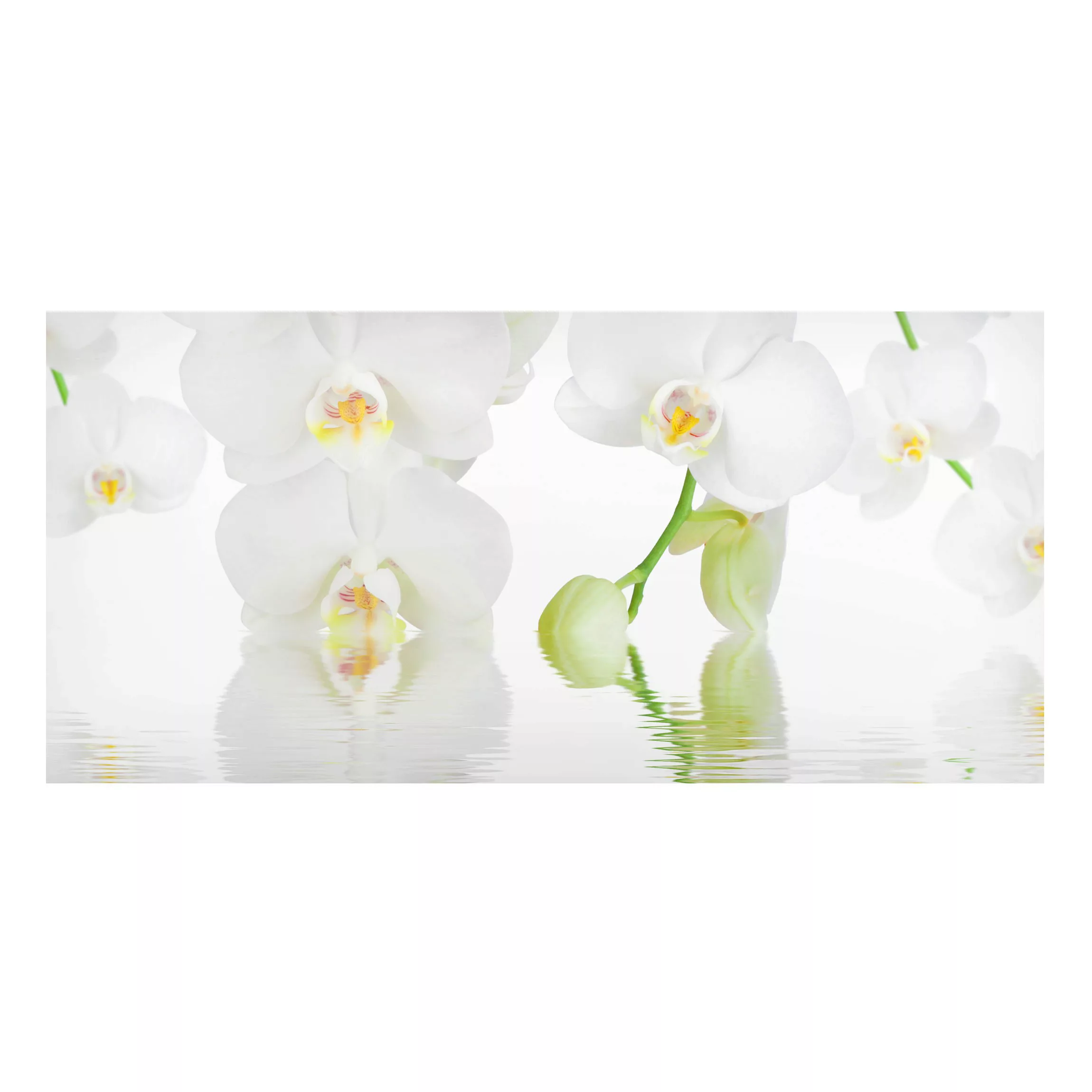 Magnettafel - Querformat 2:1 Orchideen Wellness Orchidee günstig online kaufen