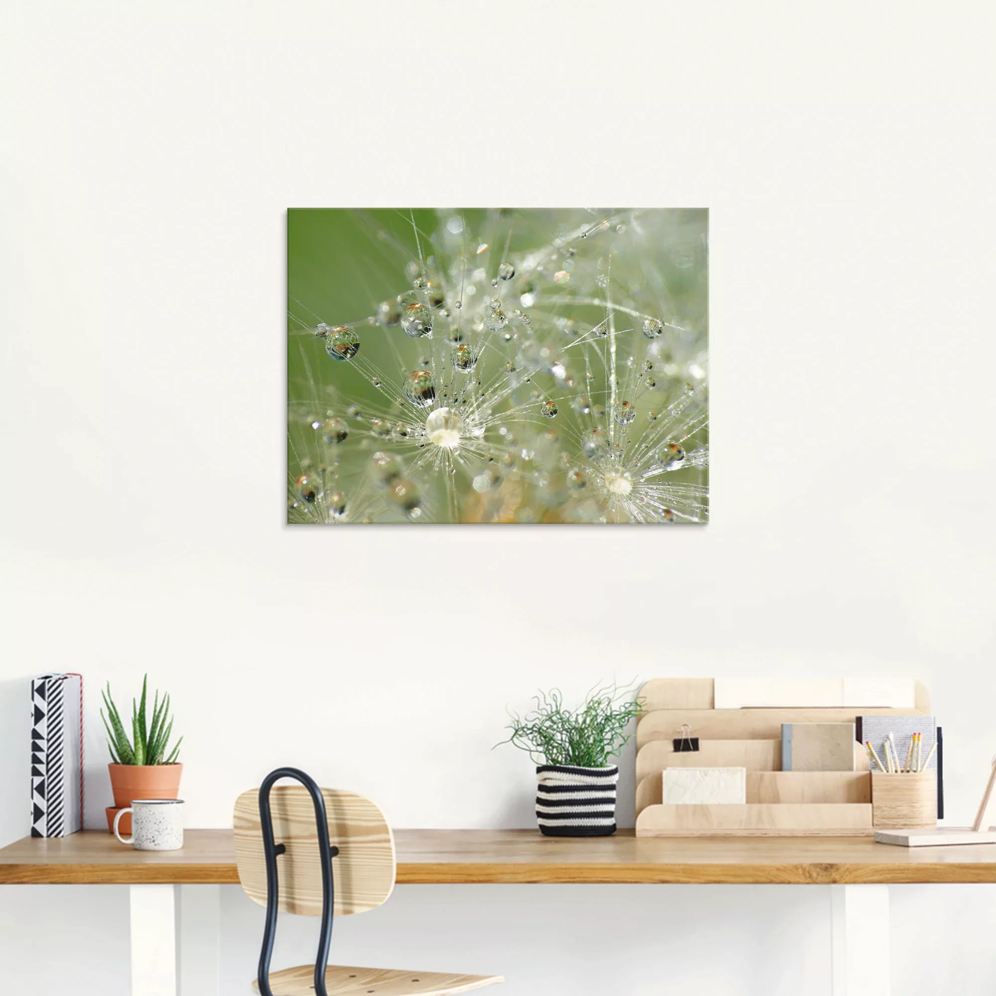 Artland Glasbild "Wassertropfen Pusteblume", Blumen, (1 St.), in verschiede günstig online kaufen