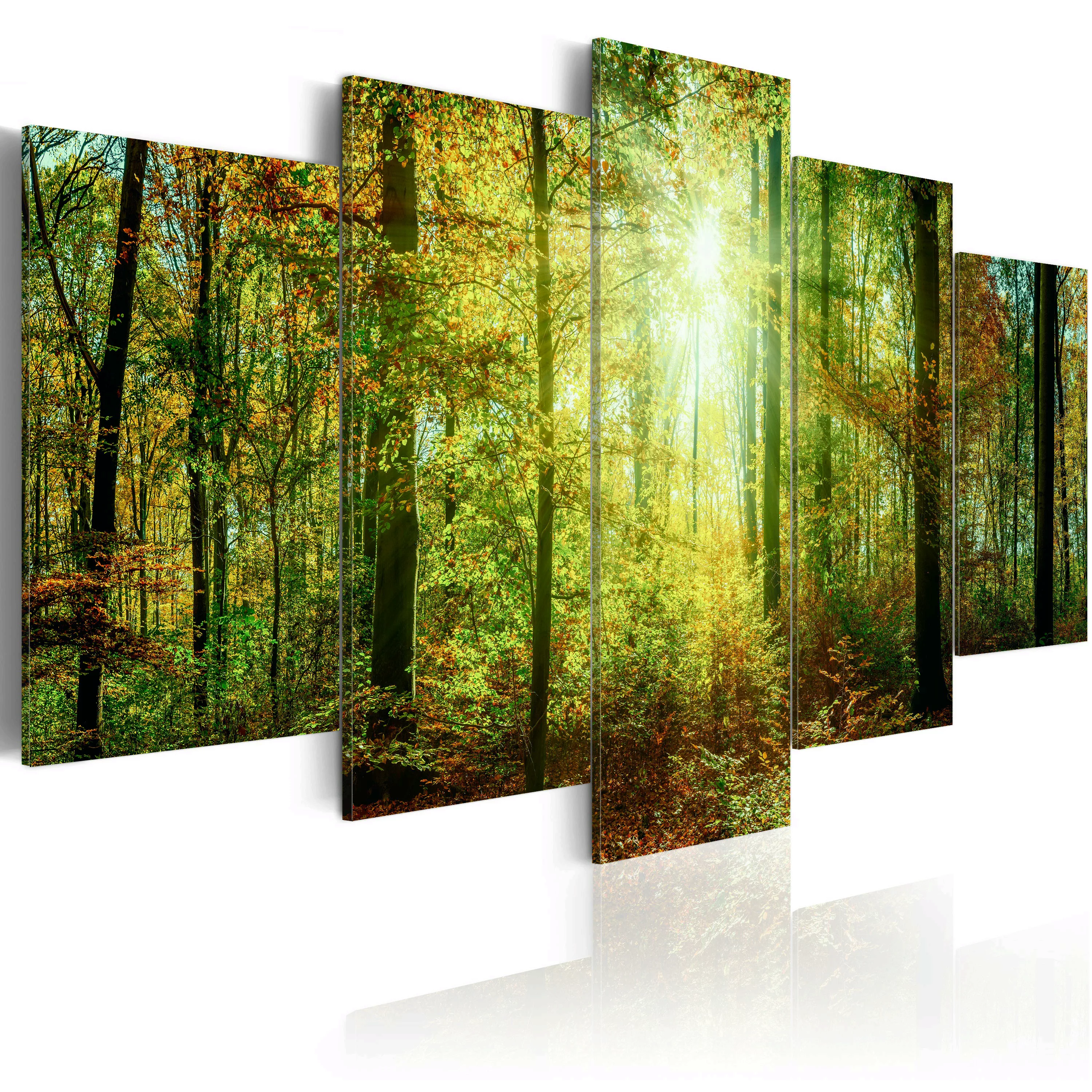 Wandbild - Wild Forest günstig online kaufen