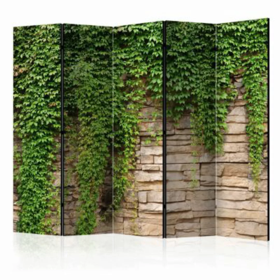 artgeist Paravent Ivy wall II [Room Dividers] grün-kombi Gr. 225 x 172 günstig online kaufen