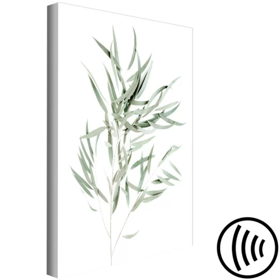 Leinwandbild Nicholia Eucalyptus (1 Part) Vertical XXL günstig online kaufen