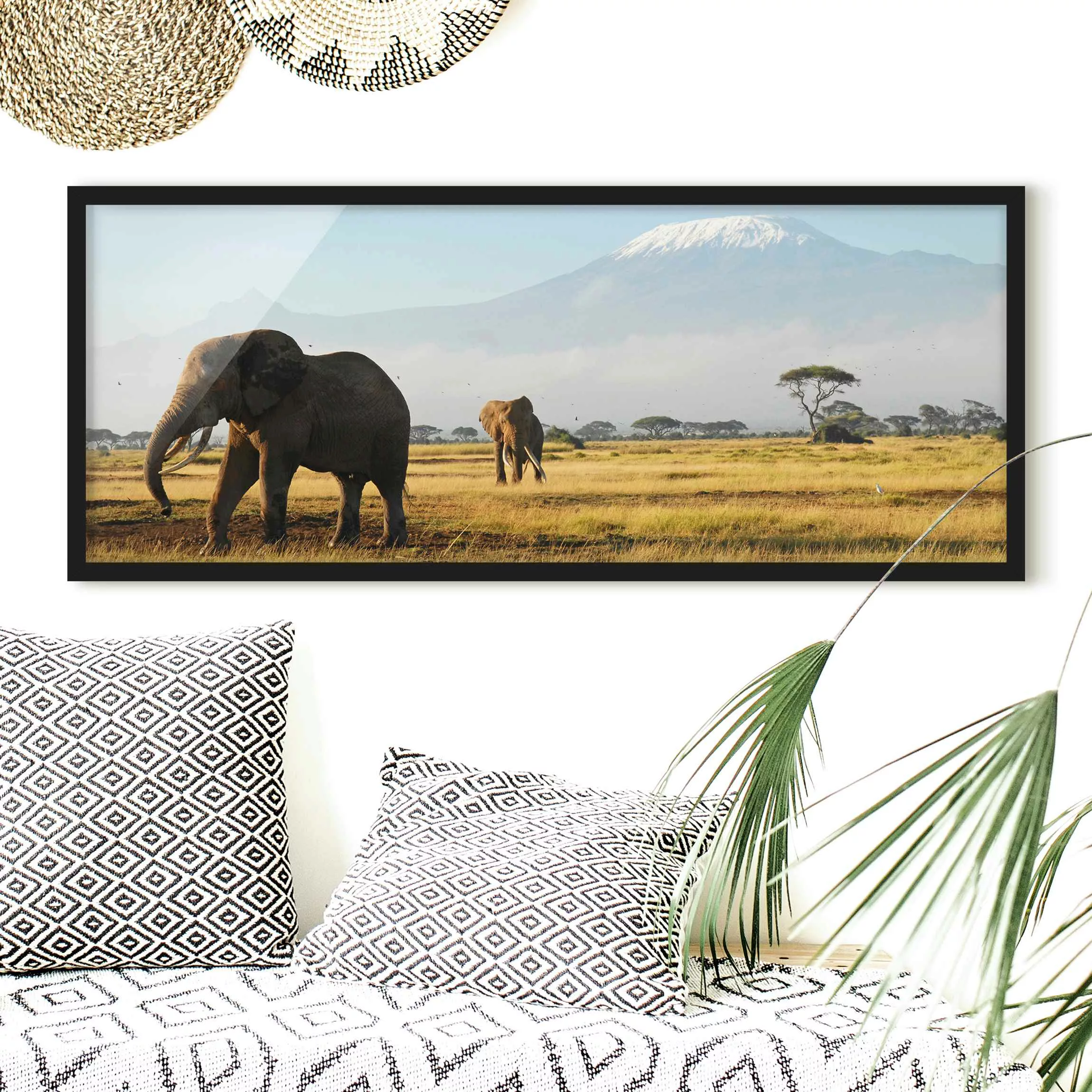 Bild mit Rahmen Tiere - Panorama Elefanten vor dem Kilimanjaro in Kenya günstig online kaufen