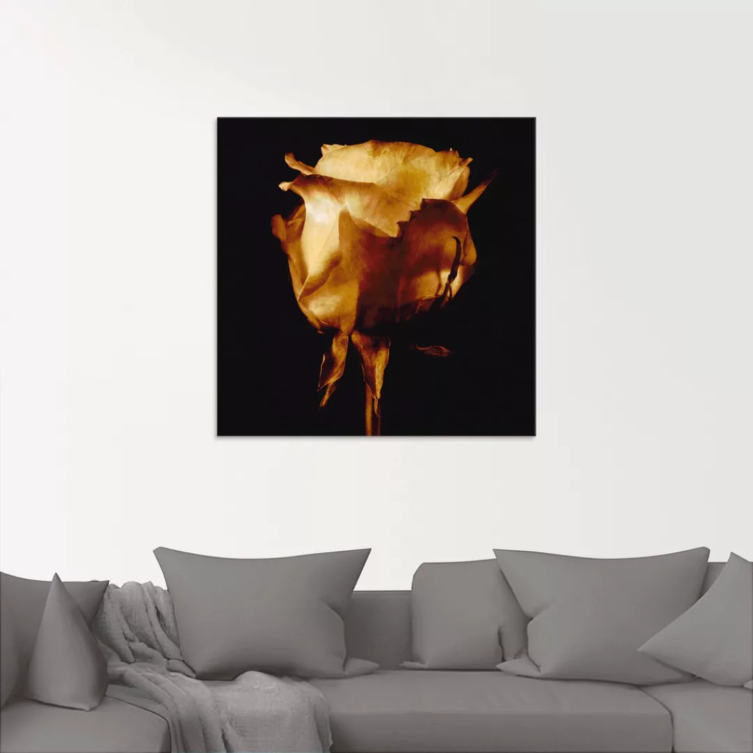Artland Glasbild »Vergoldete Rose«, Blumen, (1 St.) günstig online kaufen