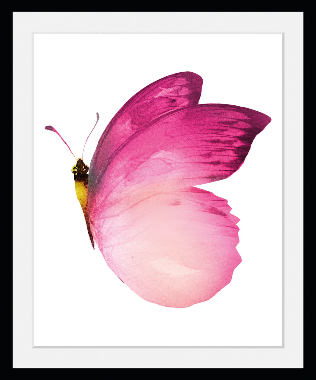 queence Bild "Judy", Schmetterlinge-Kunst-Insekten, (1 St.), HD Premium Pos günstig online kaufen