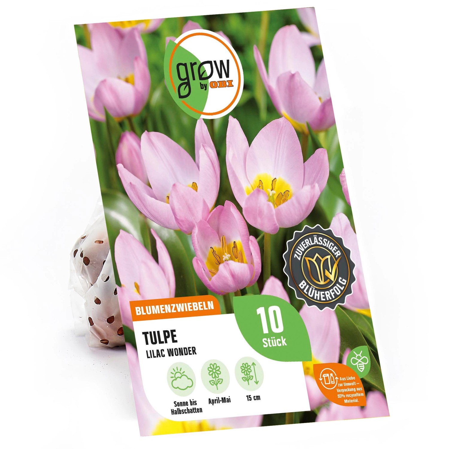 GROW by OBI Tulpe Lilac Wonder Rosa 15 cm Tulipa bakeri günstig online kaufen