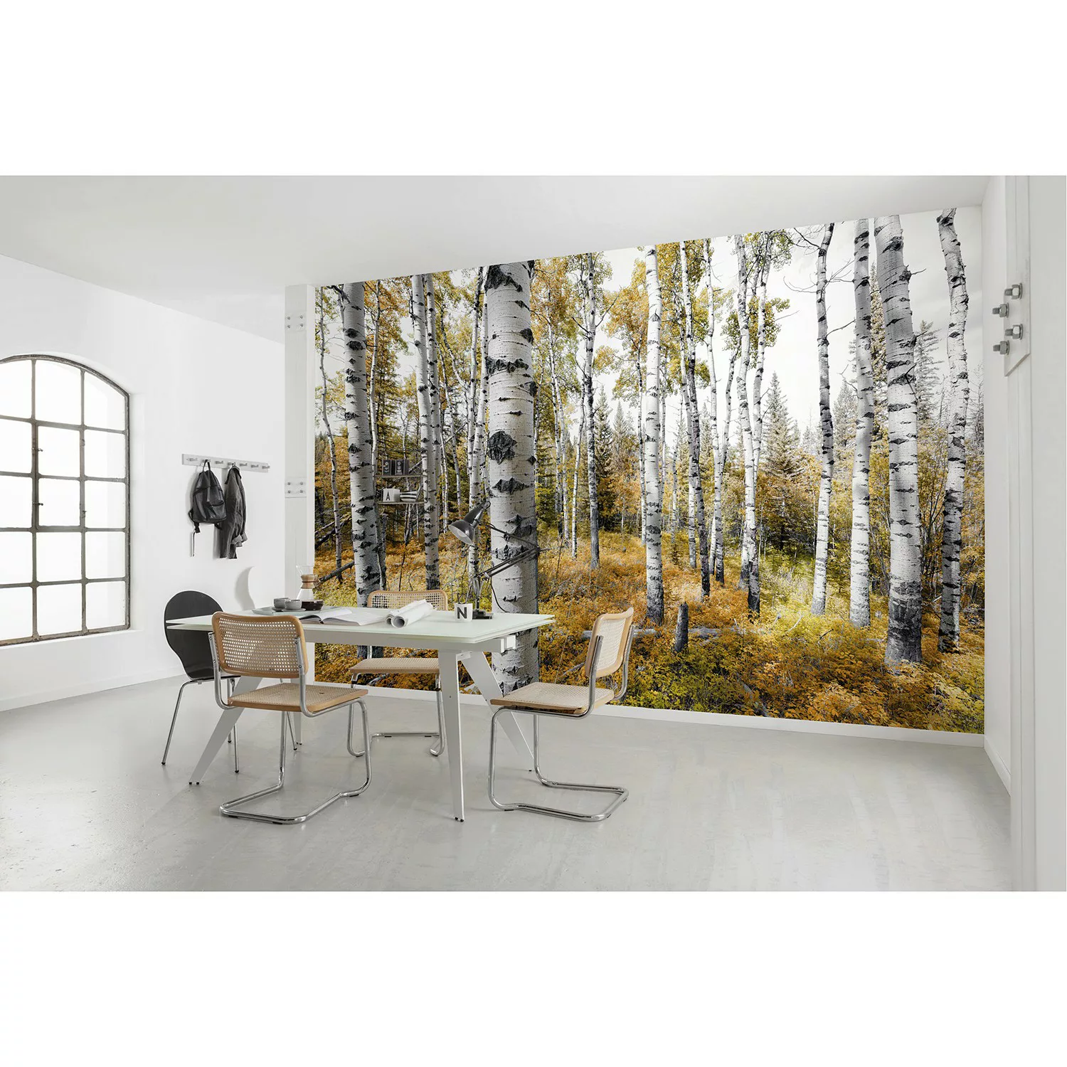 KOMAR Vlies Fototapete - Colorful Aspenwoods - Größe 450 x 280 cm mehrfarbi günstig online kaufen