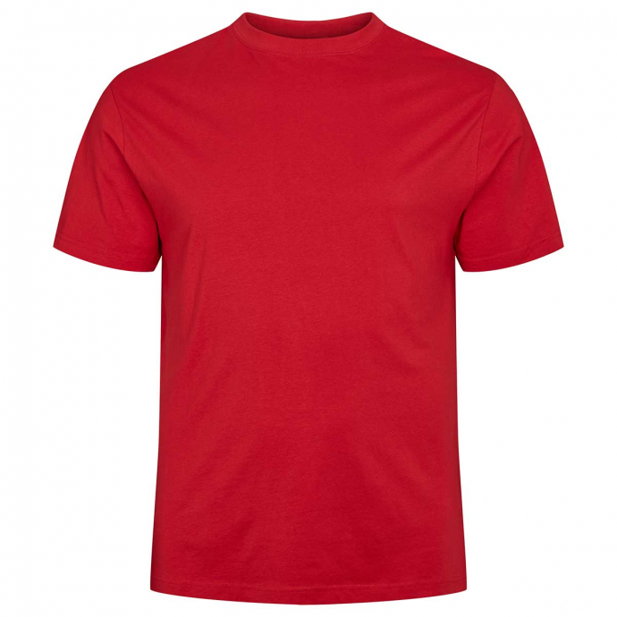 North T-Shirt aus Baumwolle günstig online kaufen