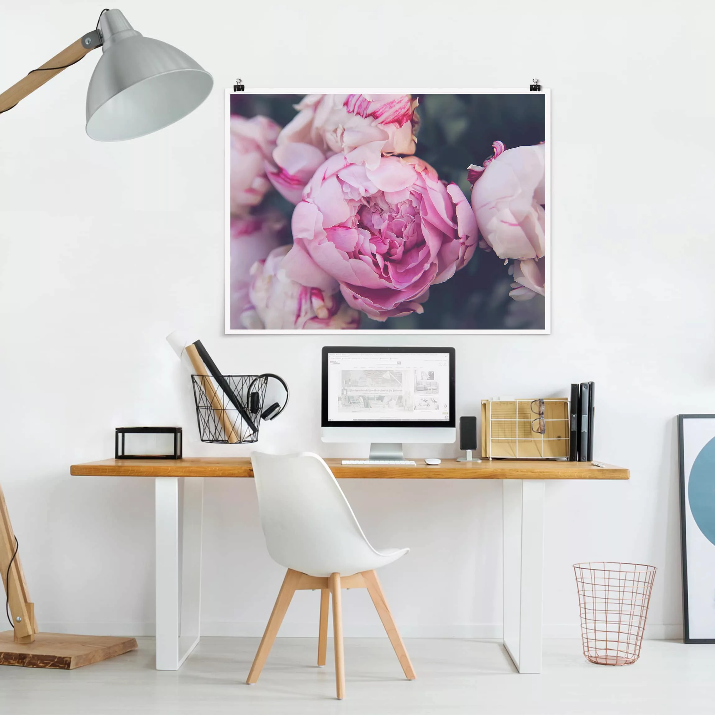 Poster Blumen - Querformat Pfingstrosenblüte Shabby günstig online kaufen