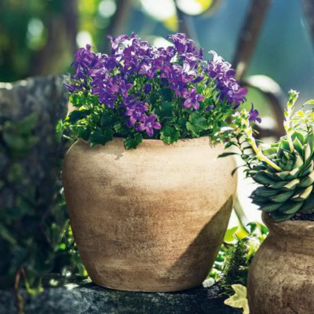 HOME Living Pflanztopf SPAR-SET 2x Terra Blumentöpfe natur günstig online kaufen