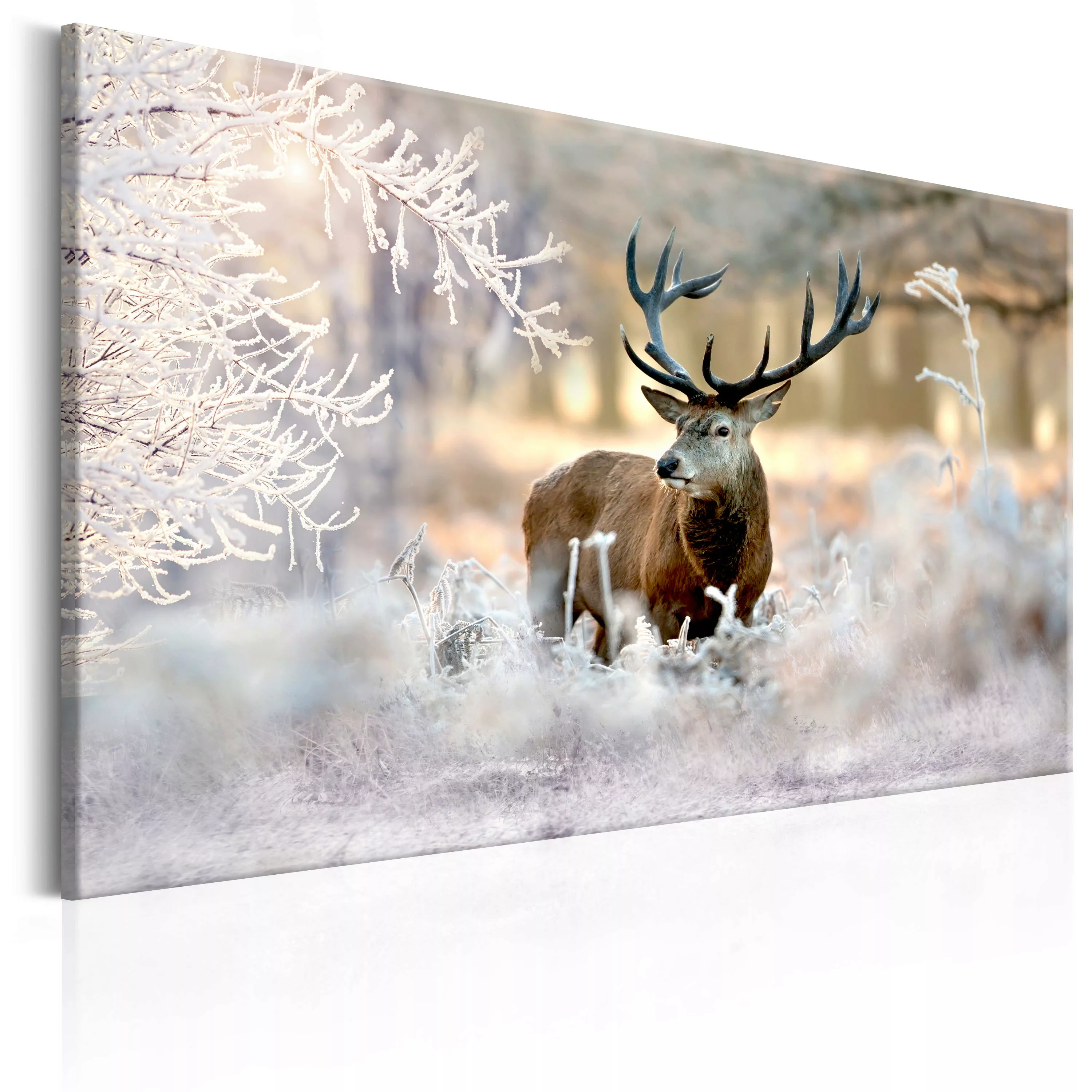 Wandbild - Deer In The Cold günstig online kaufen
