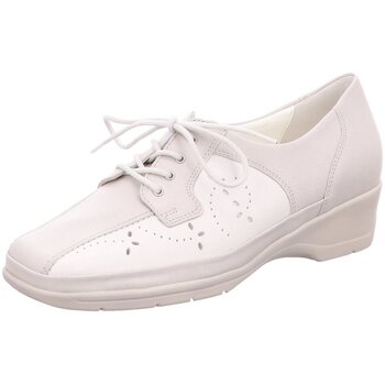Waldläufer  Halbschuhe Schnuerschuhe 442009-260/621 günstig online kaufen