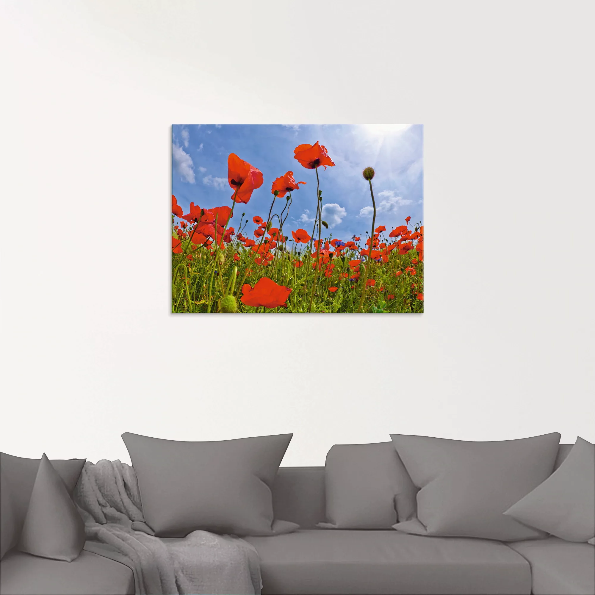 Artland Glasbild "Mohnblumenfeld", Blumen, (1 St.), in verschiedenen Größen günstig online kaufen