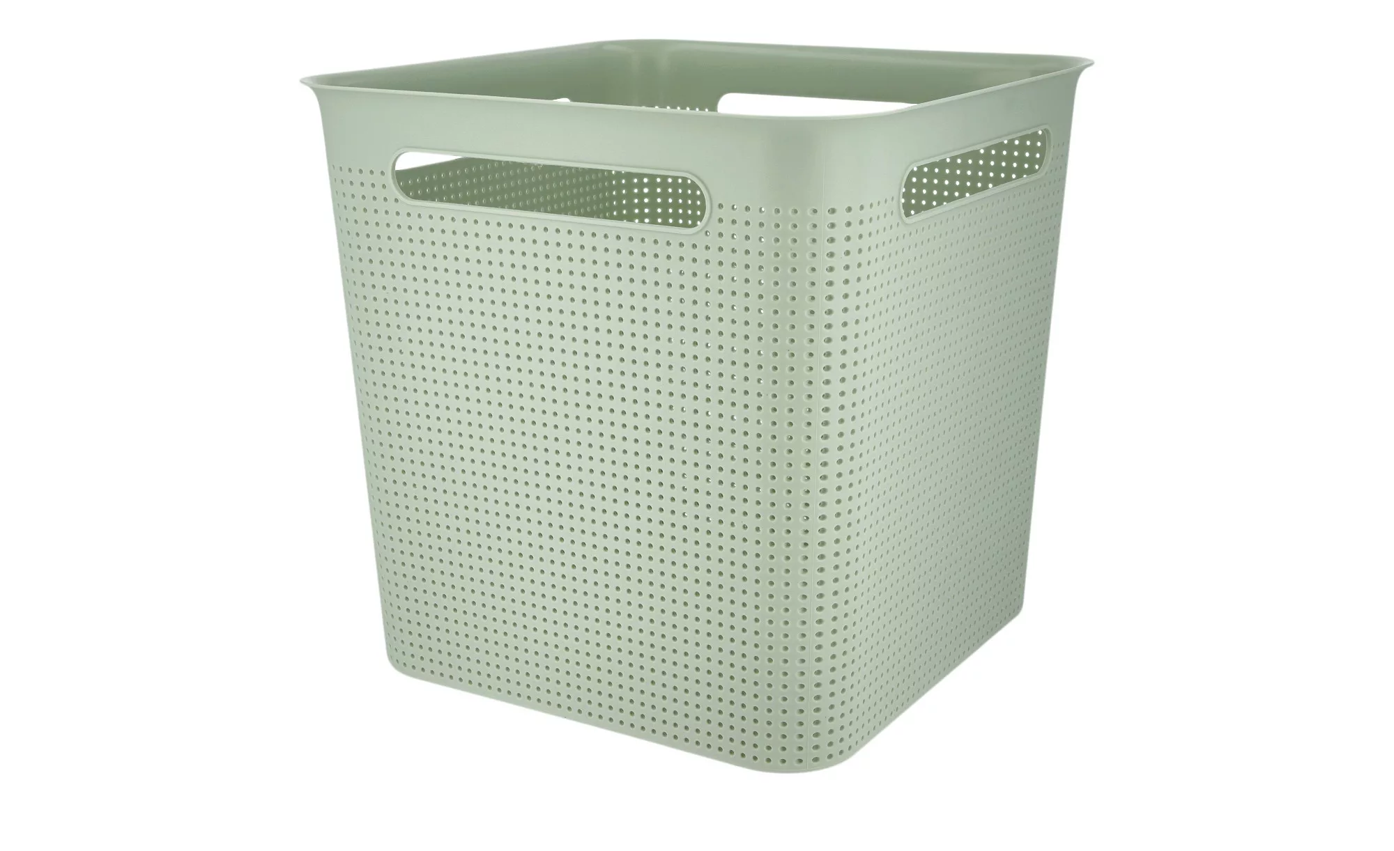 Rotho Aufbewahrungsbox - grün - Kunststoff - 29 cm - 28 cm - 29 cm - Aufbew günstig online kaufen