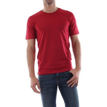 Selected  T-Shirts & Poloshirts 16057141 THEPERFECT-RIO RED günstig online kaufen