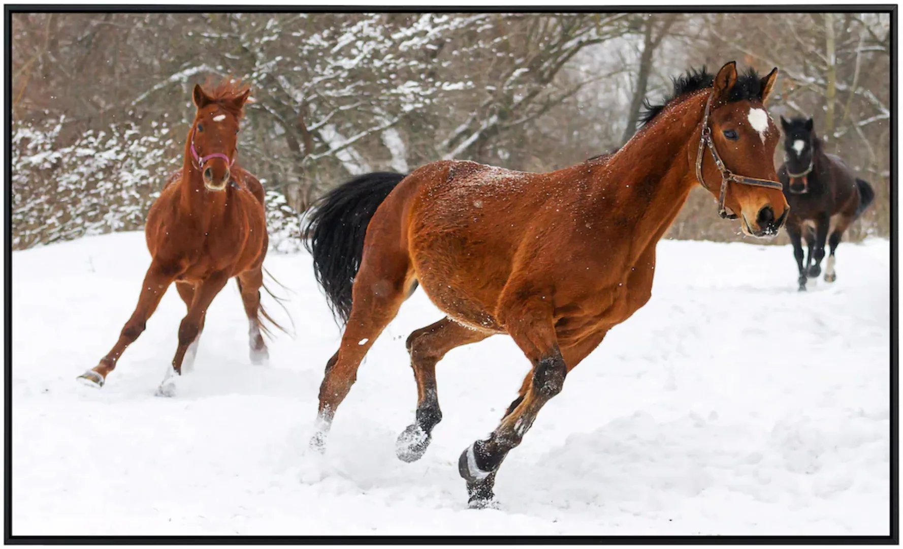 Papermoon Infrarotheizung »Pferde im Schnee« günstig online kaufen