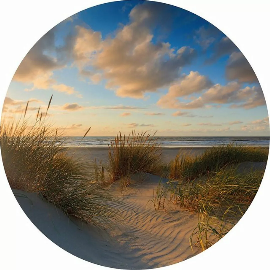 vidaXL Fotohintergrund WallArt Wallpaper Circle "Beachlife" 142.5 cm günstig online kaufen