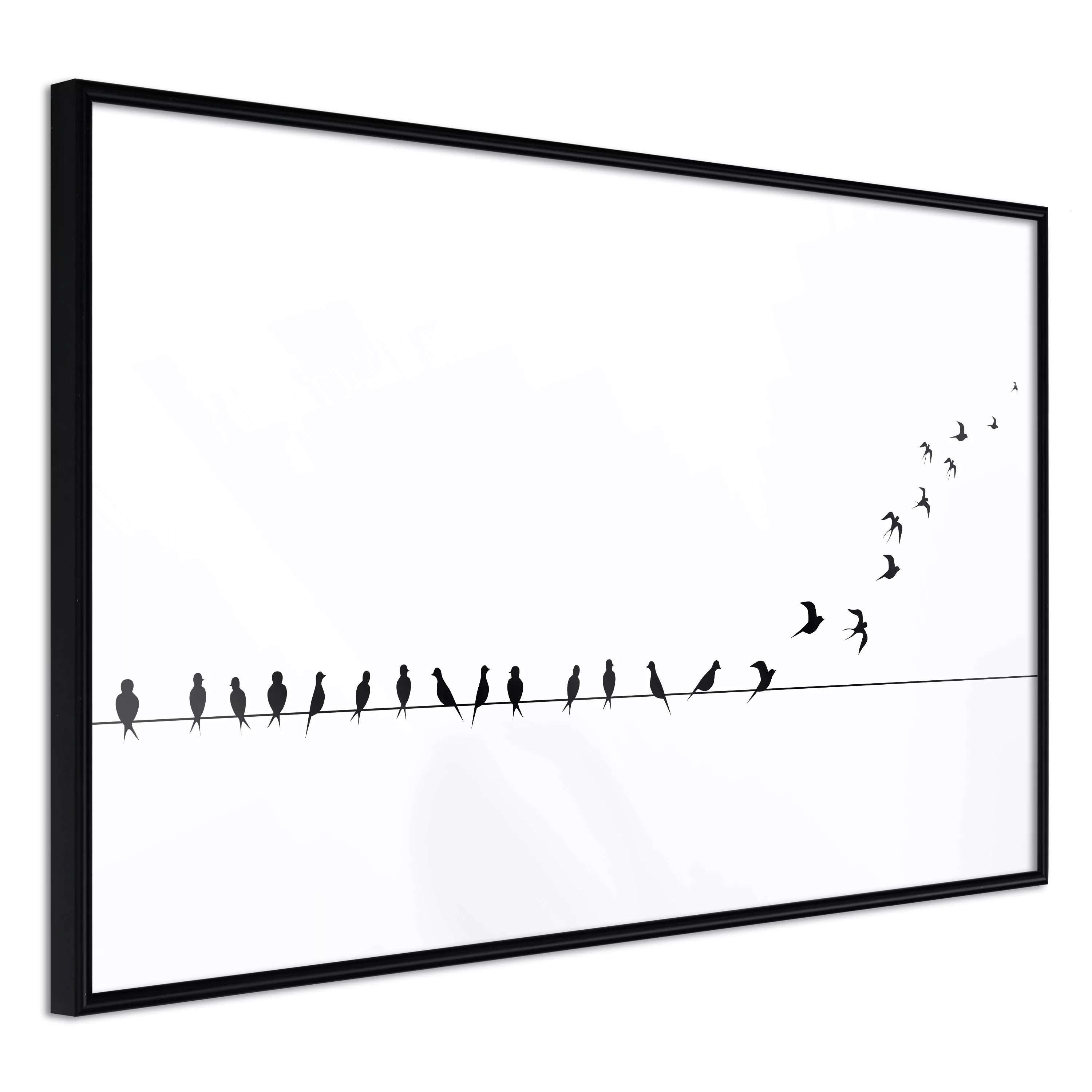 Poster - Birds On A Wire günstig online kaufen