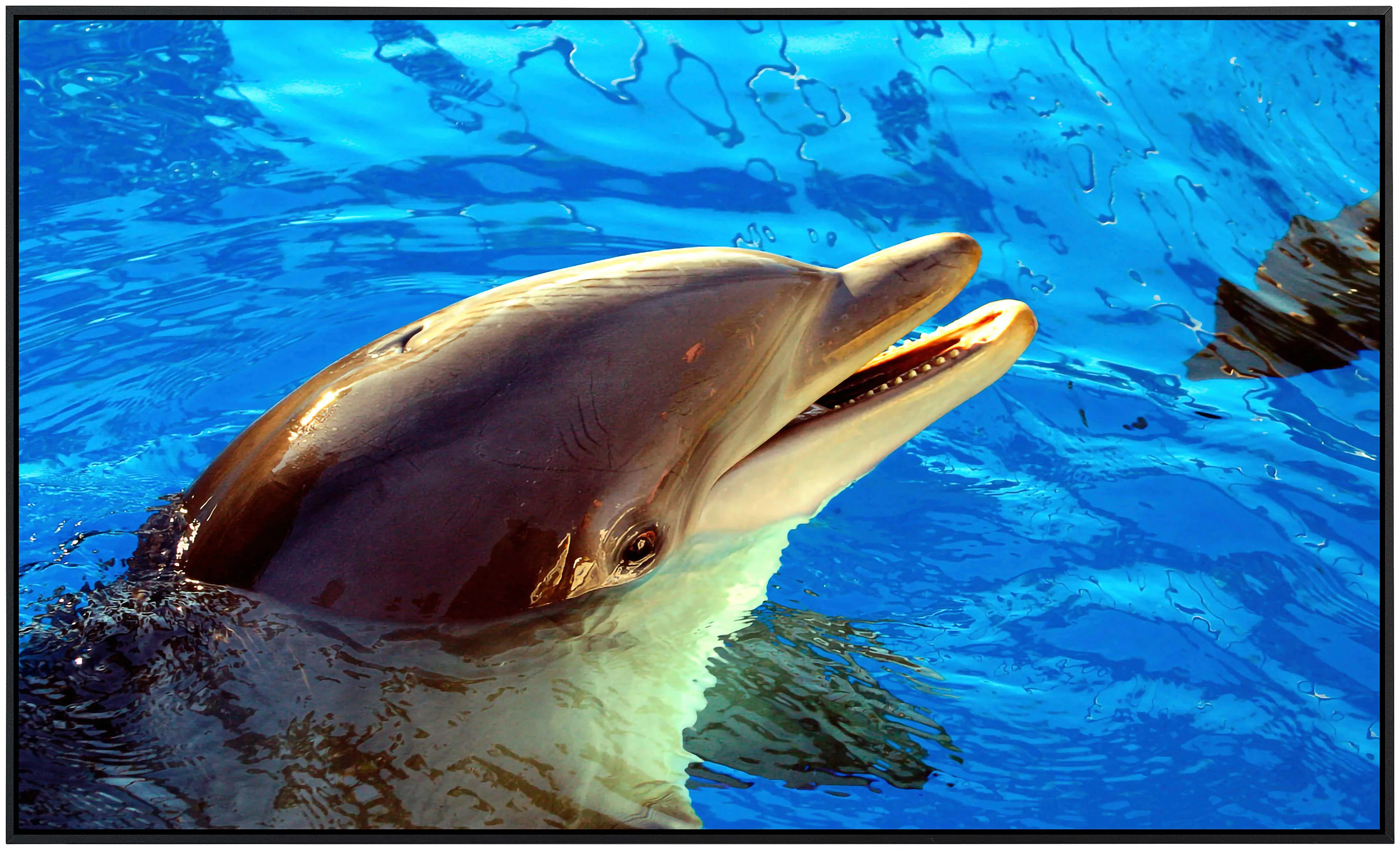 Papermoon Infrarotheizung »Delfin«, sehr angenehme Strahlungswärme günstig online kaufen