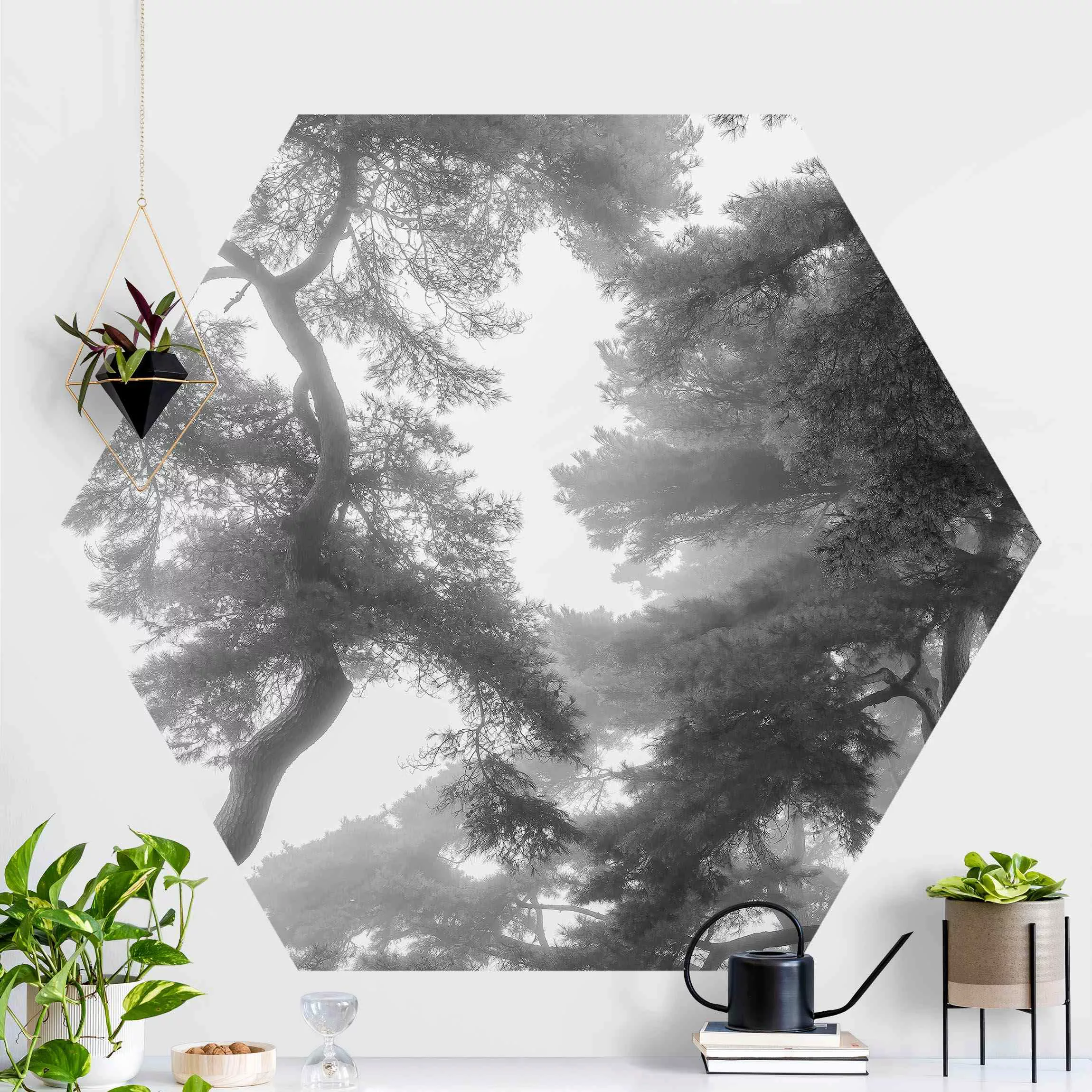 Hexagon Mustertapete selbstklebend Majestätischer Wald in Schwarz-weiß günstig online kaufen