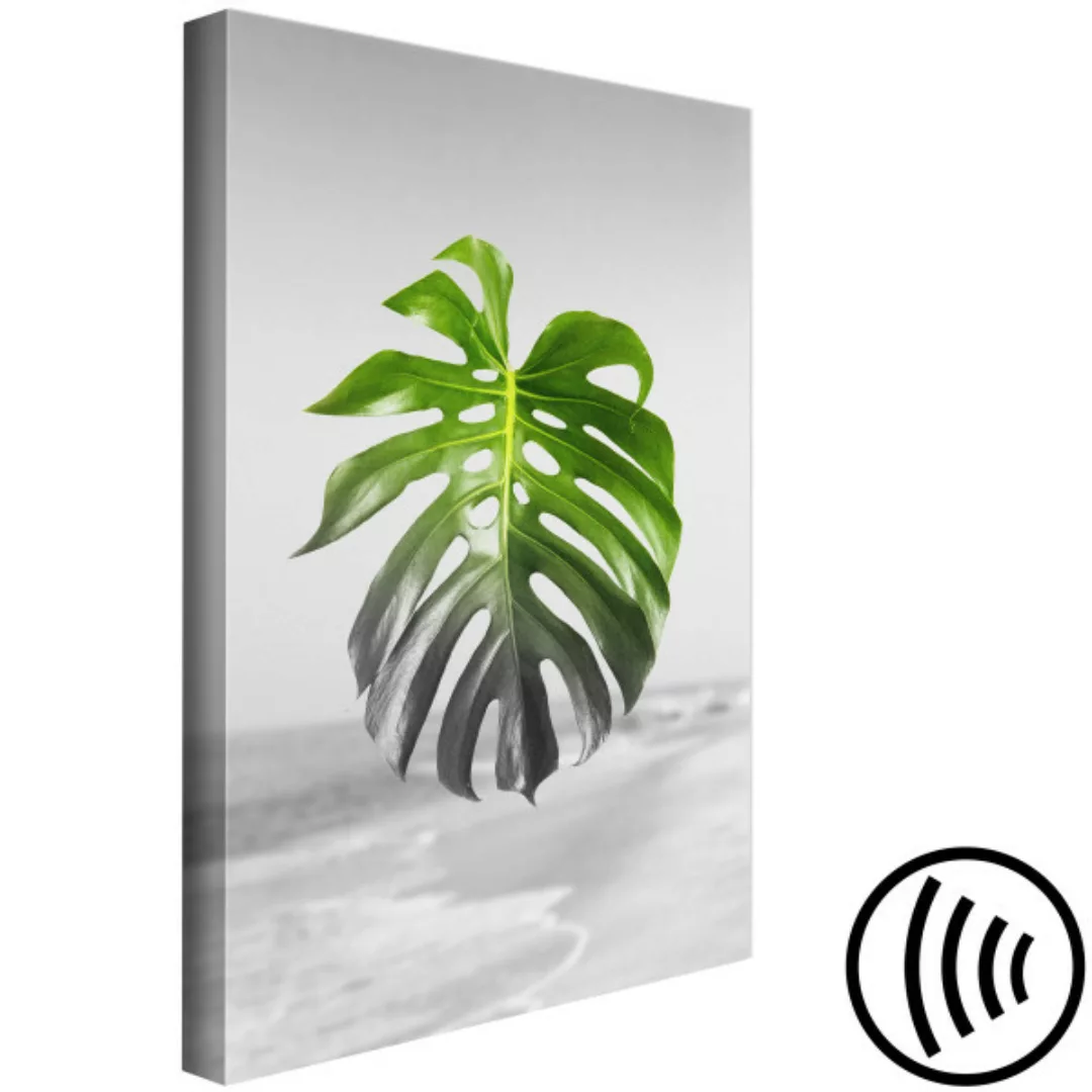 Wandbild Leaf of Monstera (1 Part) Vertical XXL günstig online kaufen