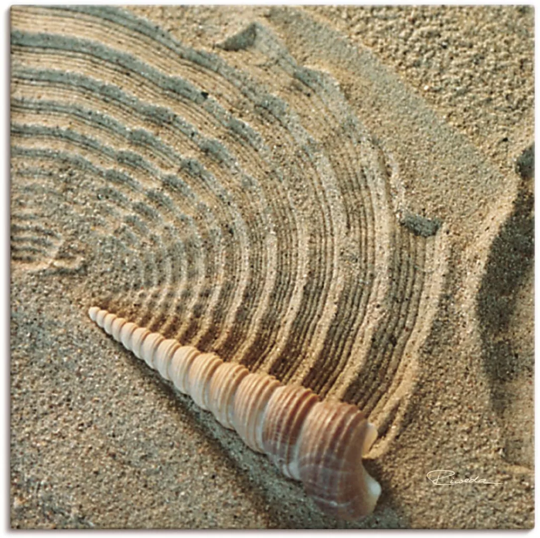 Artland Wandbild »Zen IV - Muschel im Sand«, Zen, (1 St.), als Alubild, Out günstig online kaufen