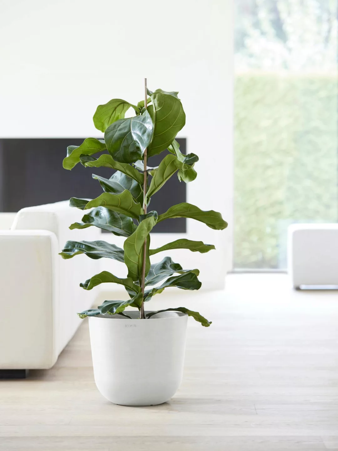 ECOPOTS Blumentopf "Oslo 35 + Wassersystem Weiß", für innen und außen: fros günstig online kaufen