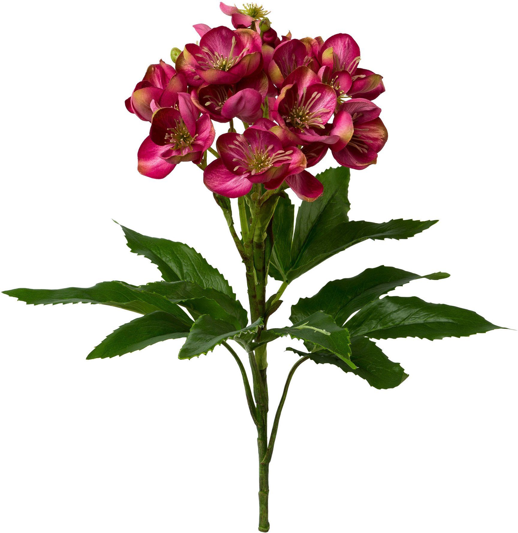 Winterliche Kunstpflanze Weihnachtsdeko Christrose, Creativ green, günstig online kaufen