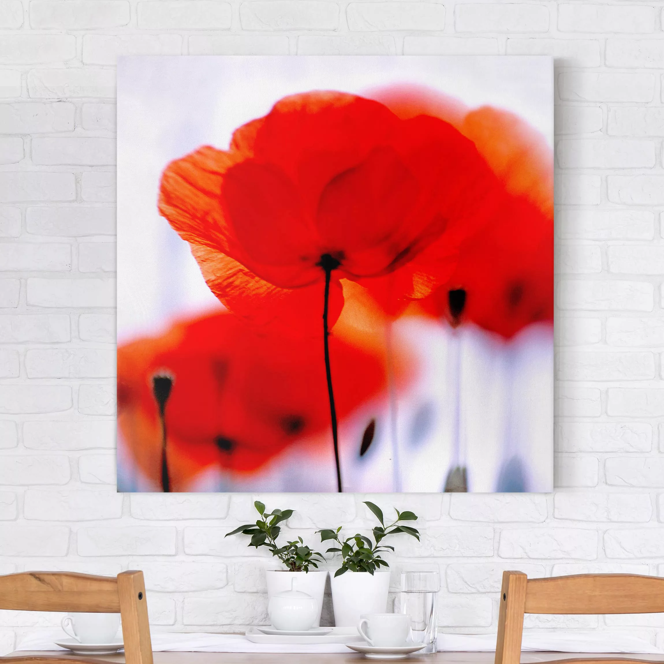 Leinwandbild Blumen - Quadrat Magic Poppies günstig online kaufen