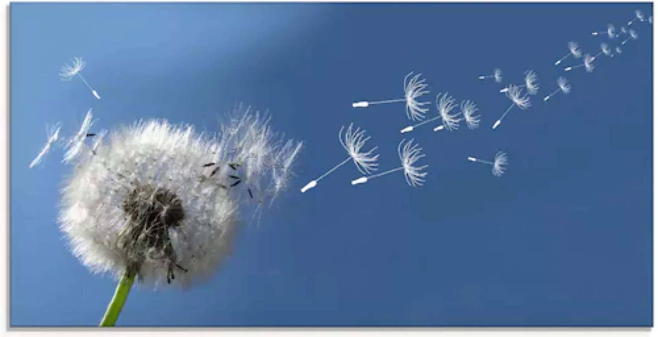 Artland Glasbild »Pusteblume«, Blumen, (1 St.), in verschiedenen Größen günstig online kaufen