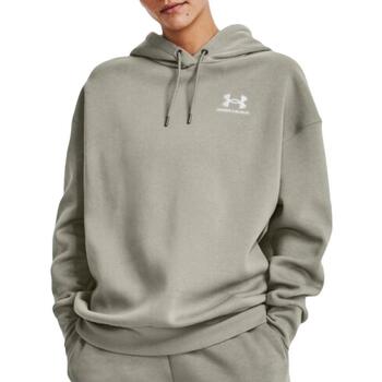 Under Armour  Sweatshirt 1379495-504 günstig online kaufen