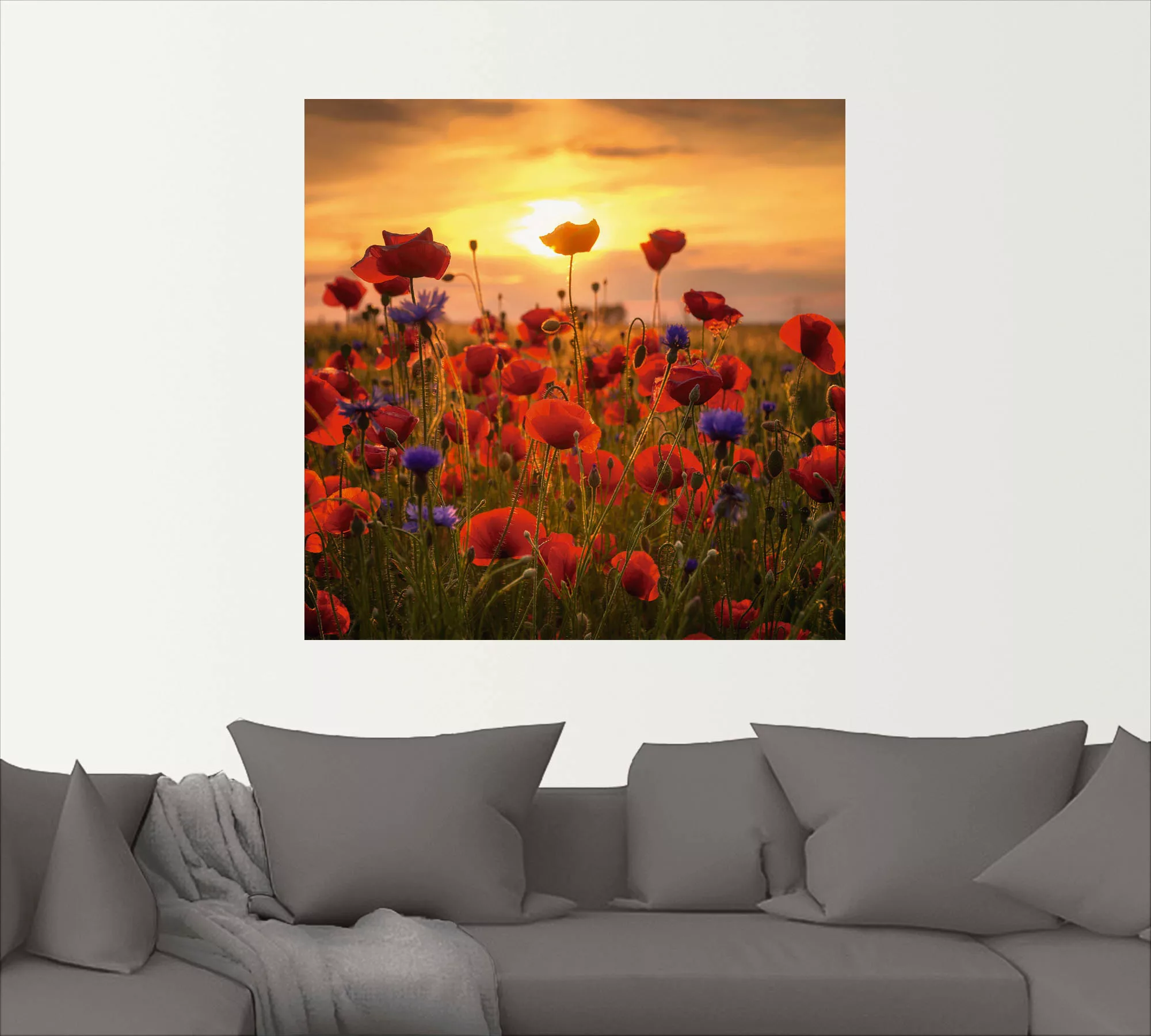 Artland Wandbild "Mohnblumen im Abendlicht", Blumen, (1 St.), als Alubild, günstig online kaufen