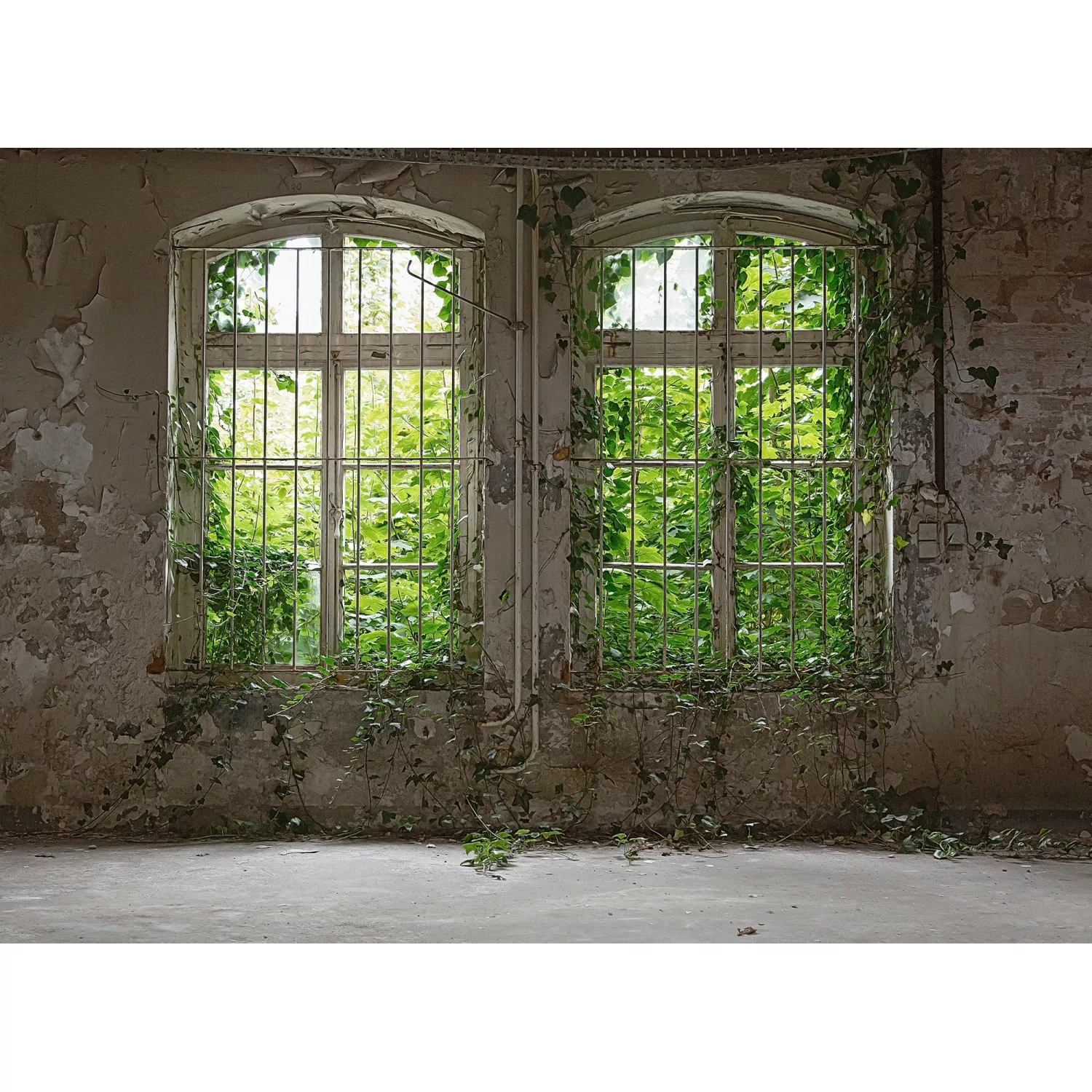 Fototapete Steinwand Fenster Industrial Grau Grün 3,50 m x 2,55 m FSC® günstig online kaufen