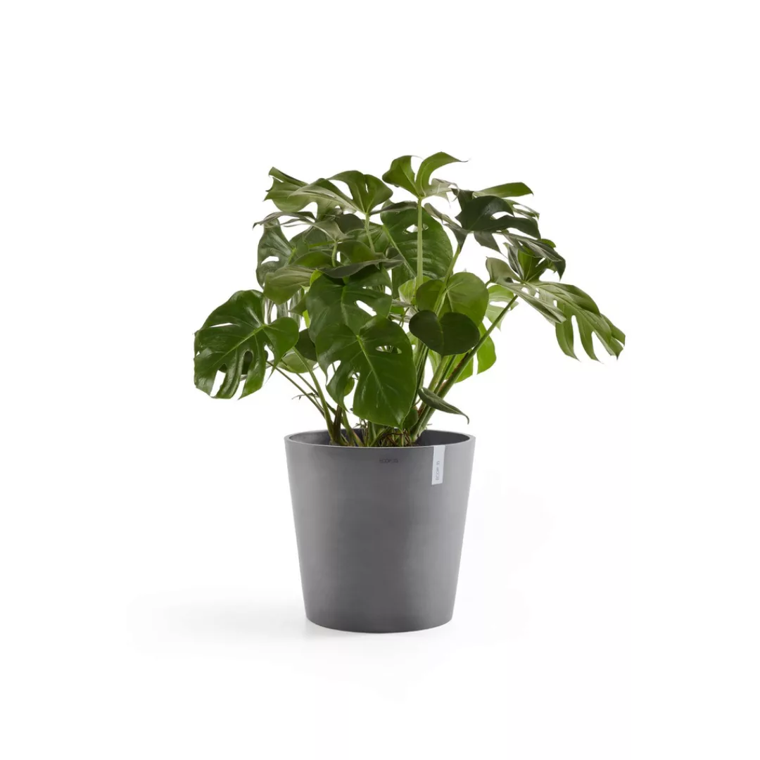 Ecopots Pflanztopf Amsterdam Braungrau 60 cm günstig online kaufen