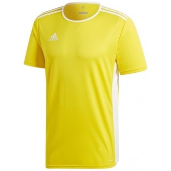 adidas Entrada 18 Jersey gelb/weiss Größe XL günstig online kaufen