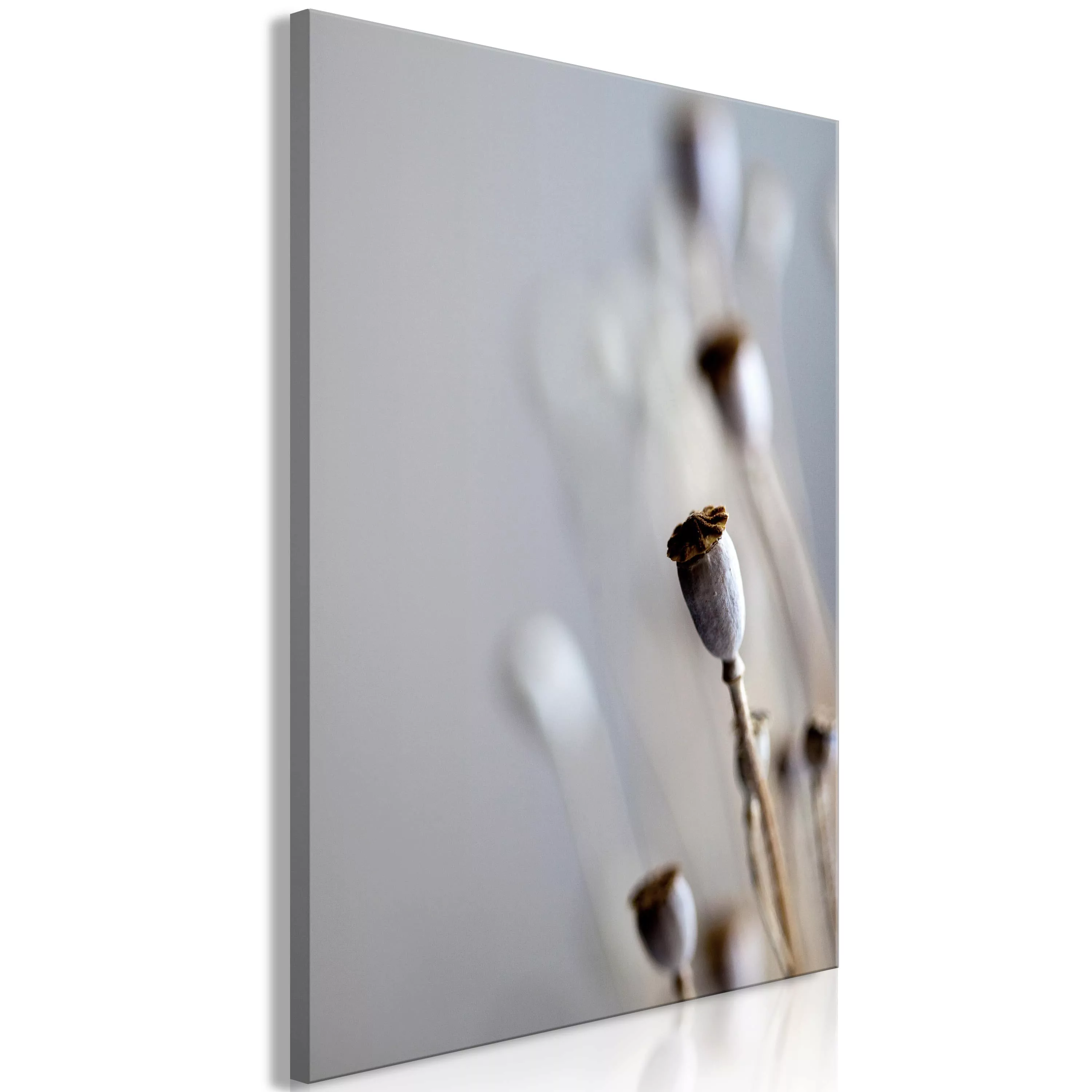 Wandbild - Dried Poppies (1 Part) Vertical günstig online kaufen