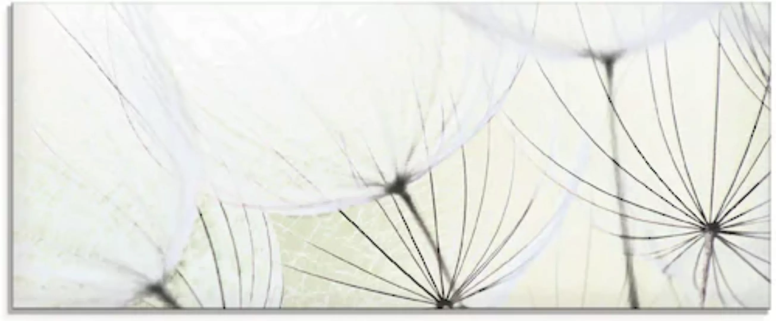 Artland Glasbild »Pusteblumen-Samen aufgehellt«, Blumen, (1 St.) günstig online kaufen