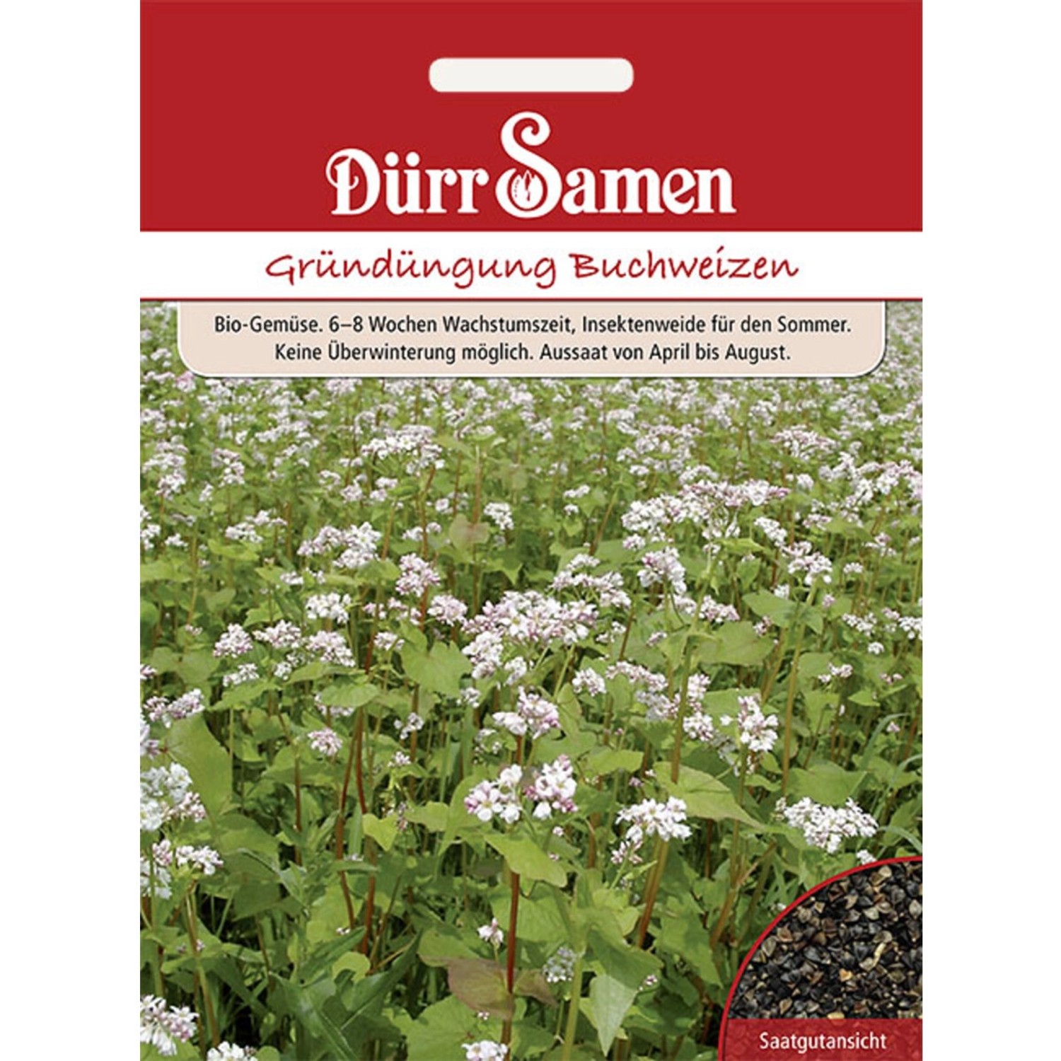 Dürr Samen Gründüngung Buchweizen 50 G Saatgut günstig online kaufen