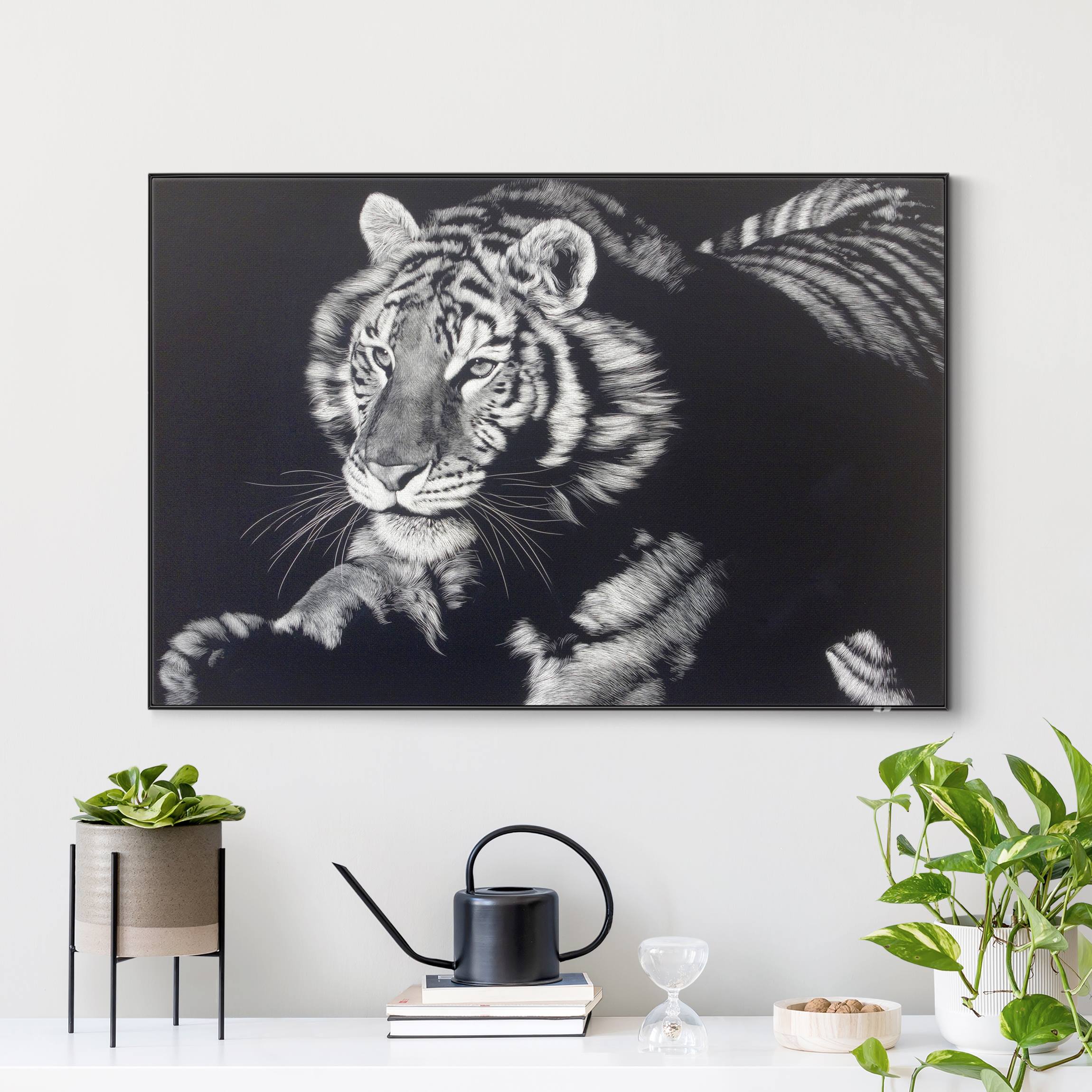 Wechselbild mit Spannrahmen Tiger im Sonnenlicht vor Schwarz günstig online kaufen
