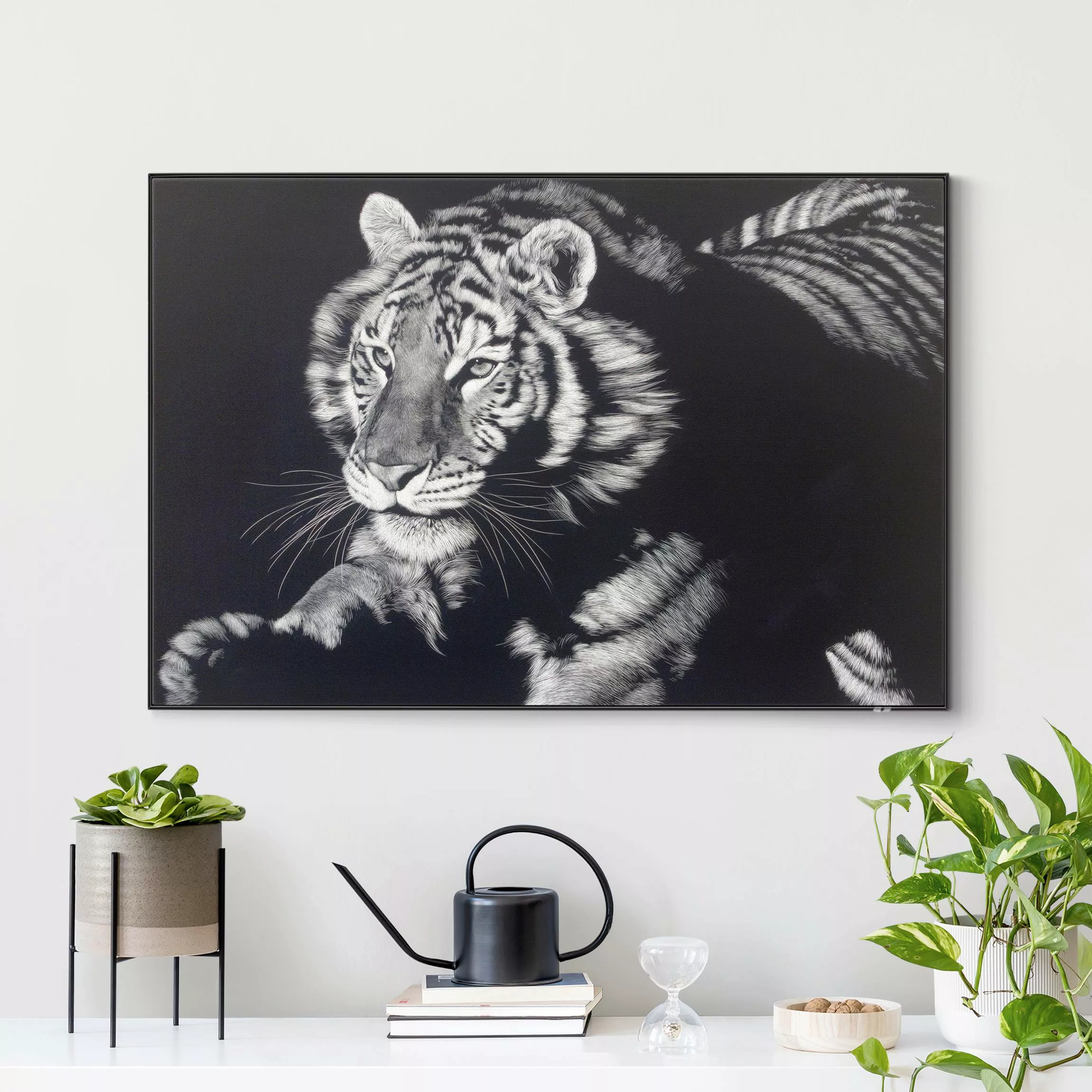 Wechselbild Tiger im Sonnenlicht vor Schwarz günstig online kaufen