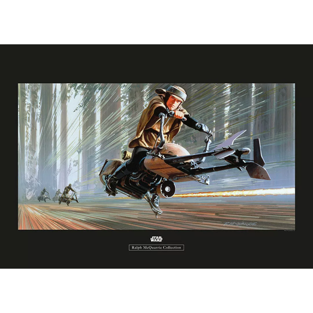 Komar Wandbild Star Wars Classic RMQ Endor Speeder Star Wars - Classic B/L: günstig online kaufen