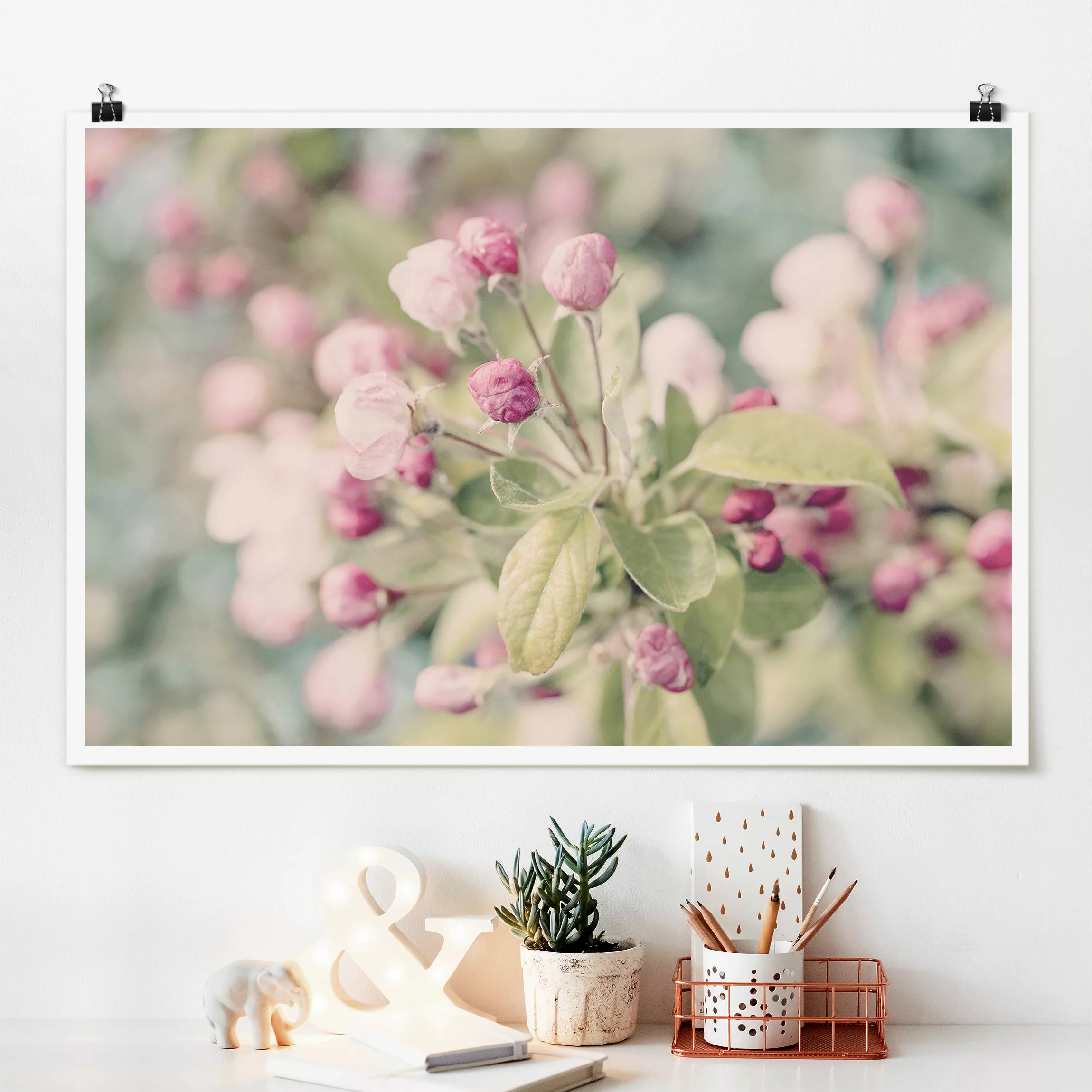 Poster Apfelblüte Bokeh rosa günstig online kaufen