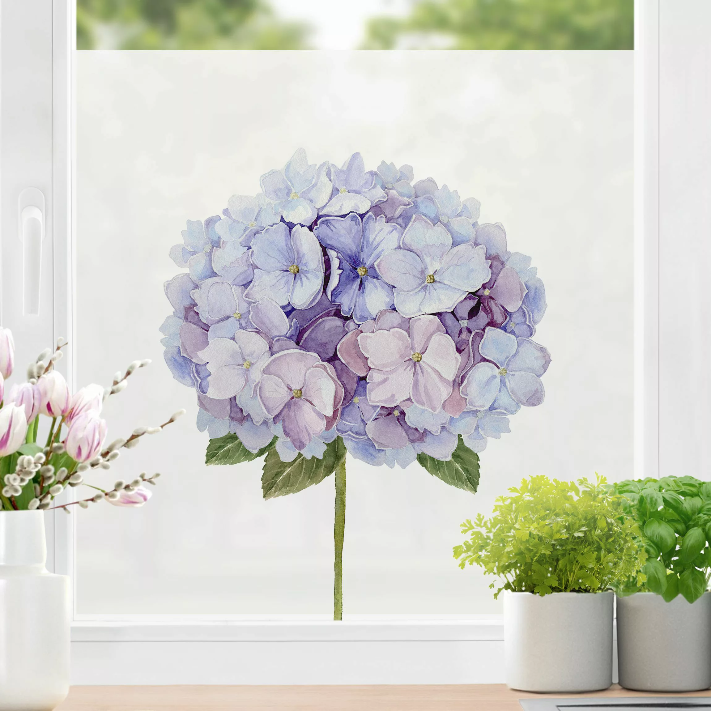 Fensterfolie Aquarell Hortensie Blaue Blüte XXL günstig online kaufen