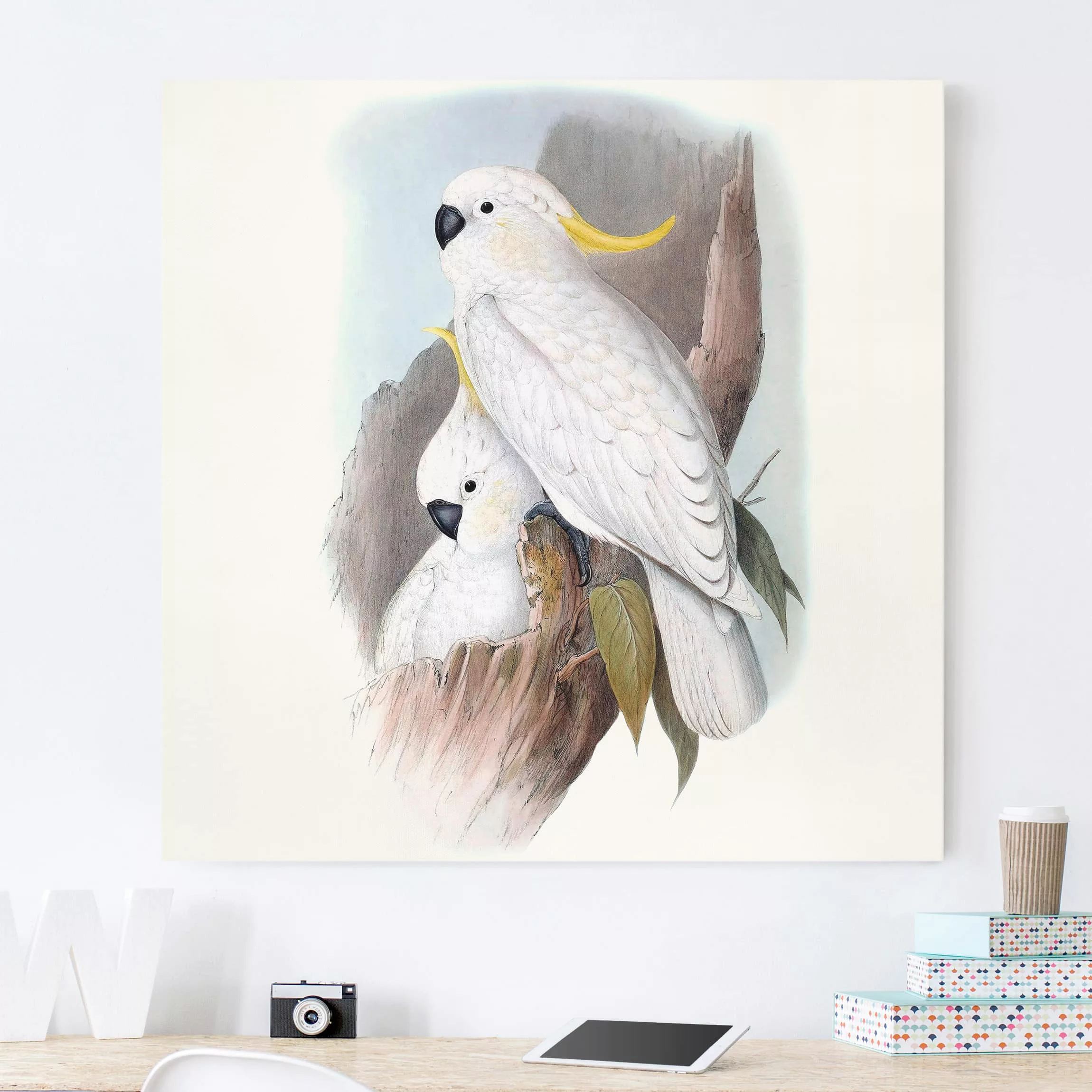 Leinwandbild Tiere - Quadrat Pastell Papageien III günstig online kaufen