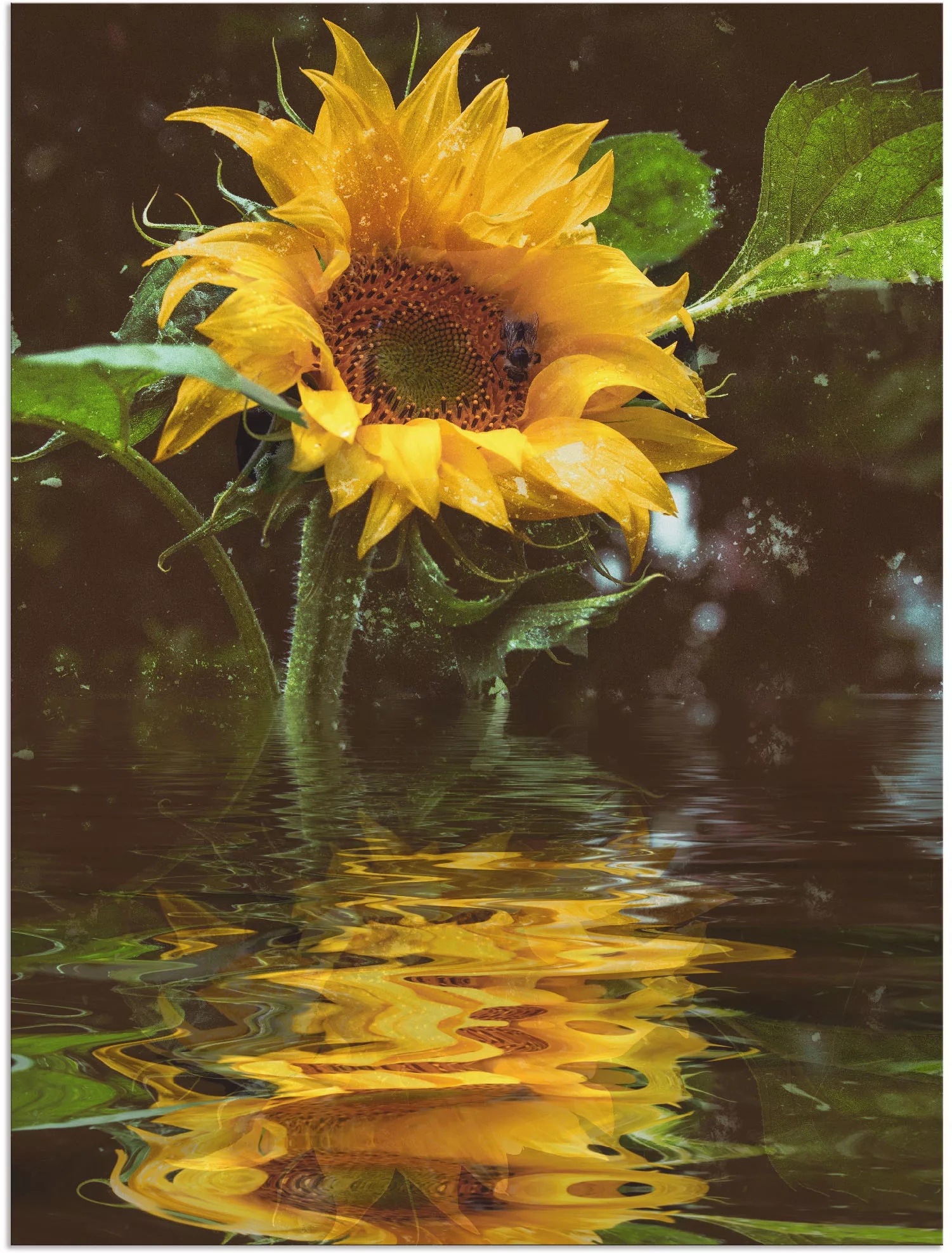 Artland Wandbild »Sonnenblume«, Blumen, (1 St.), als Alubild, Outdoorbild, günstig online kaufen