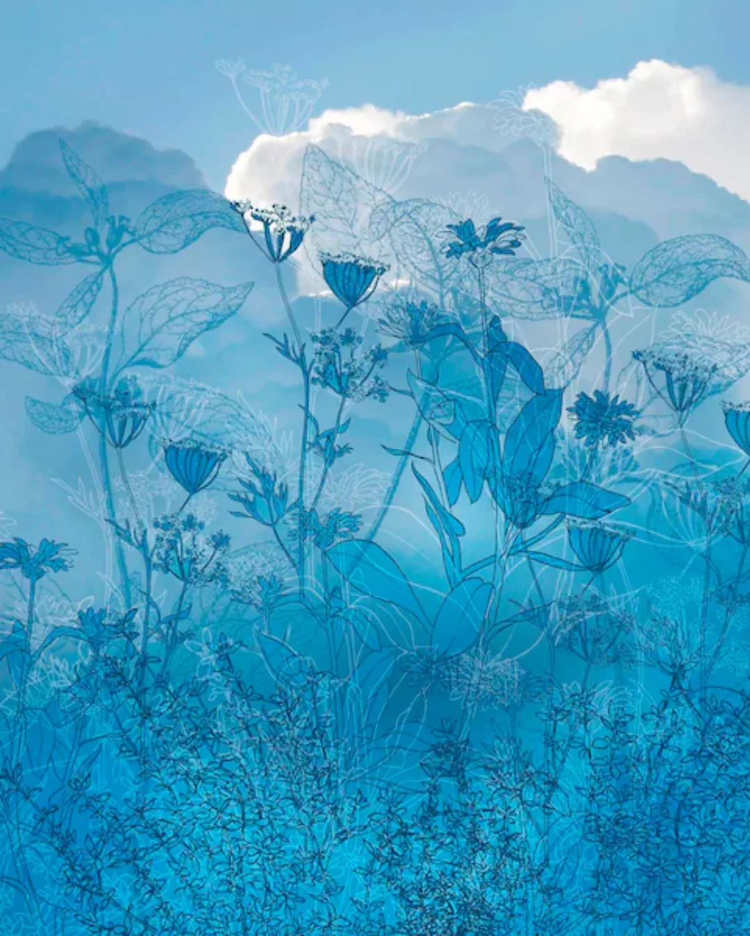 Komar Vliestapete »Blue Sky«, 200x250 cm (Breite x Höhe), Vliestapete, 100 günstig online kaufen