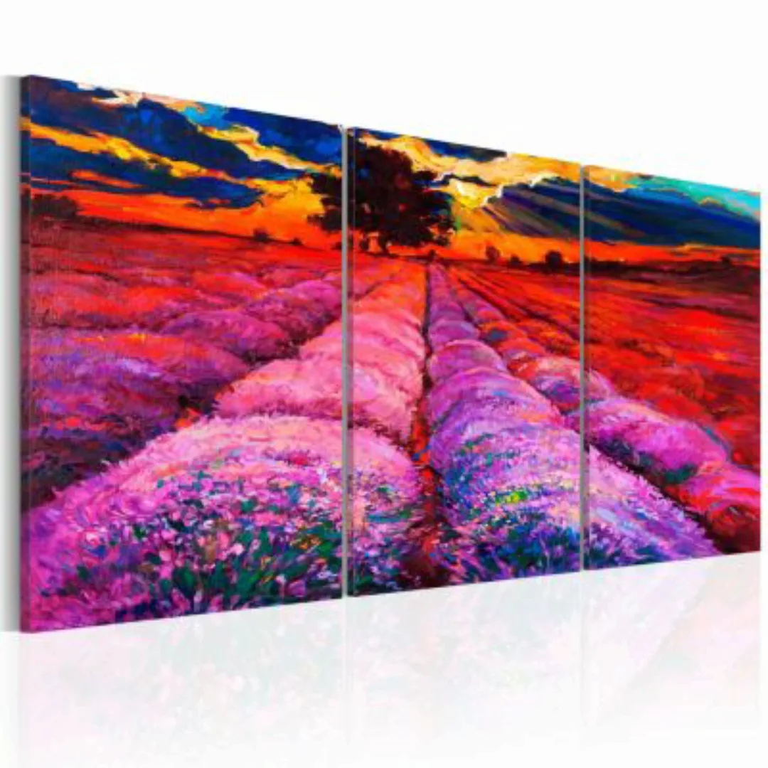 artgeist Wandbild Land of Colours mehrfarbig Gr. 60 x 30 günstig online kaufen