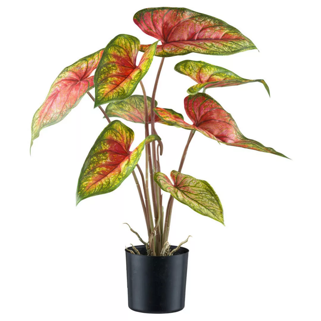 Kunstpflanze Caladium Red Flash grün Kunststoff B/H/L: ca. 17x55x17 cm günstig online kaufen