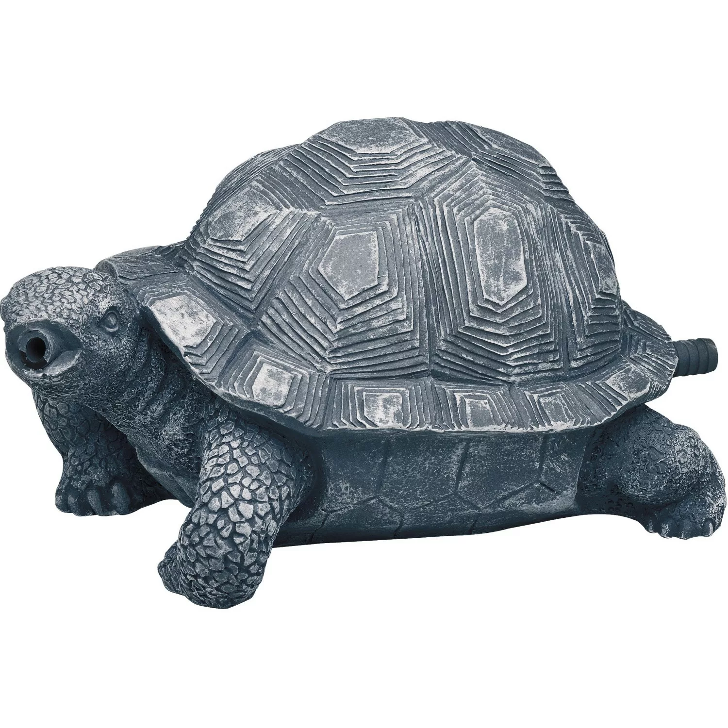 Oase Wasserspeier Schildkröte Tierfigur günstig online kaufen